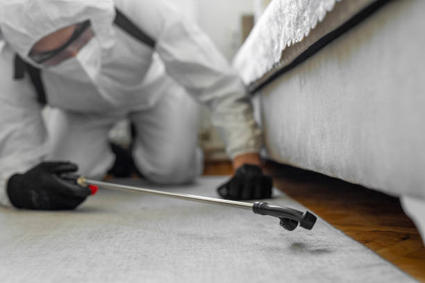 Professional Pest Control technician working in Petroleum County County, MT